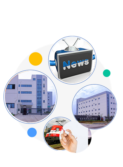 Anqing Chicho Pharmaceutical Co., Ltd. Anqing Chicho Pharmaceutical Co., Ltd.